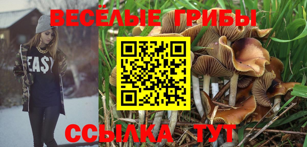 Кубинка  Галлюциногенные грибы мицелий  Вход с VPN  Галлюциногенные грибы MAGIC MUSHROOMS 